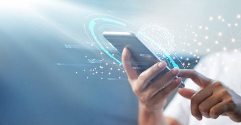 custom ecommerce solutions